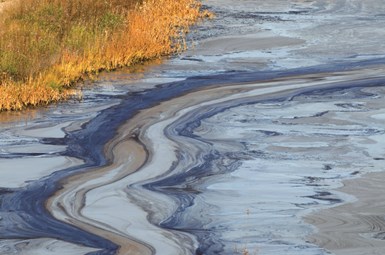 Oil slick in a body of water