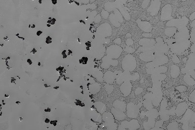 Image from microscope of nodular graphite and filament graphite in valve stem bushing.